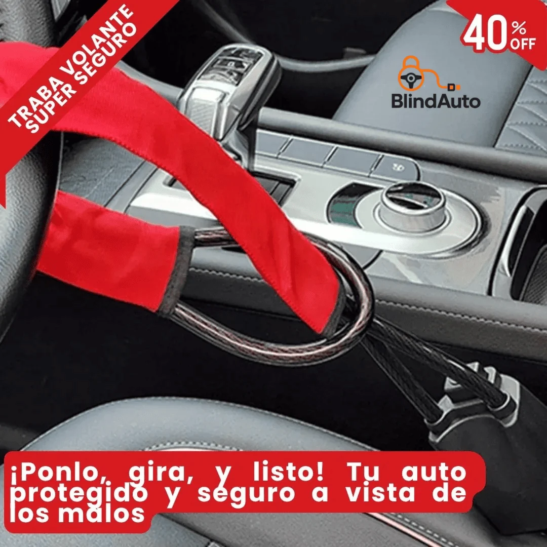 Cinturon Anti Robo Para Vehiculo