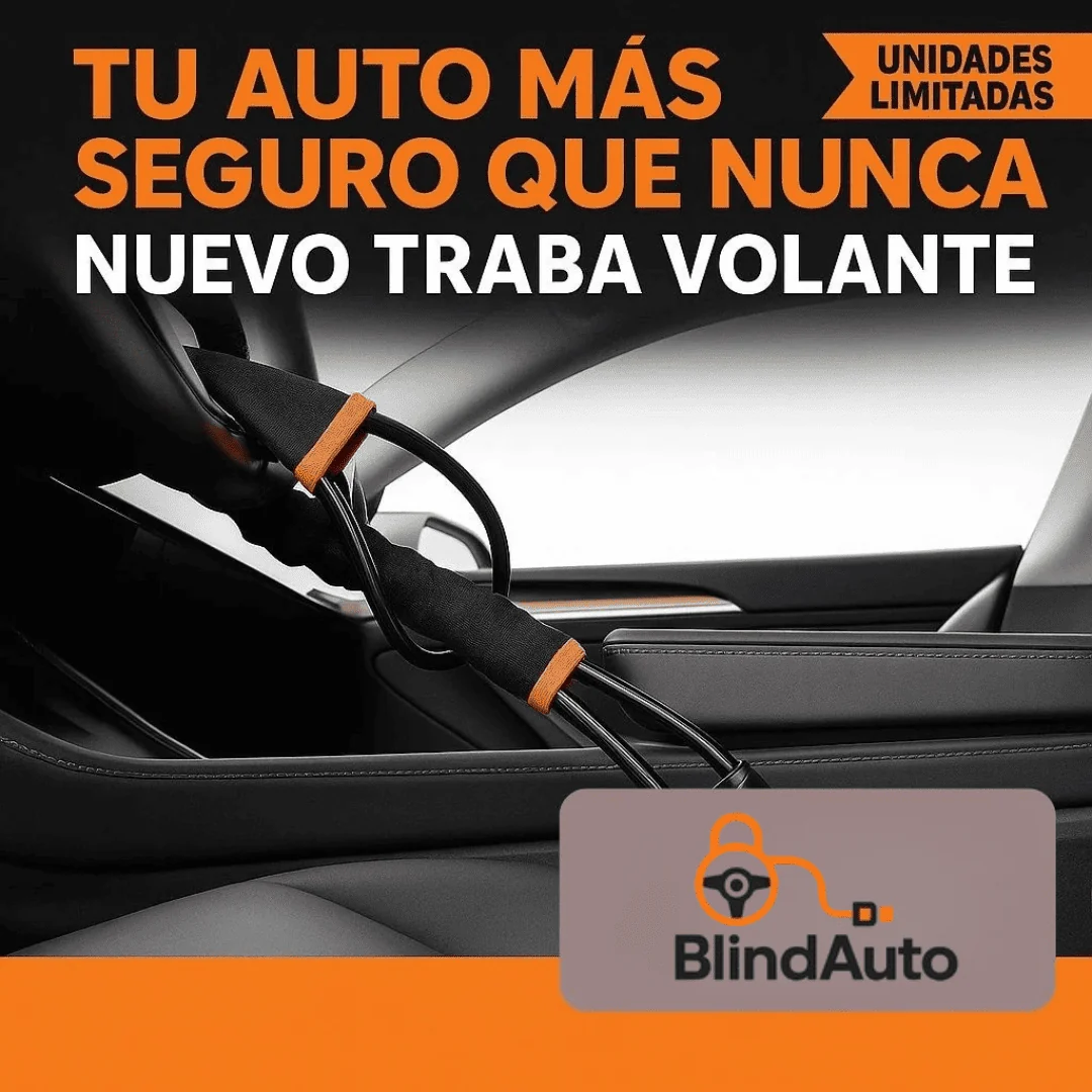 Cinturon Anti Robo Para Vehiculo