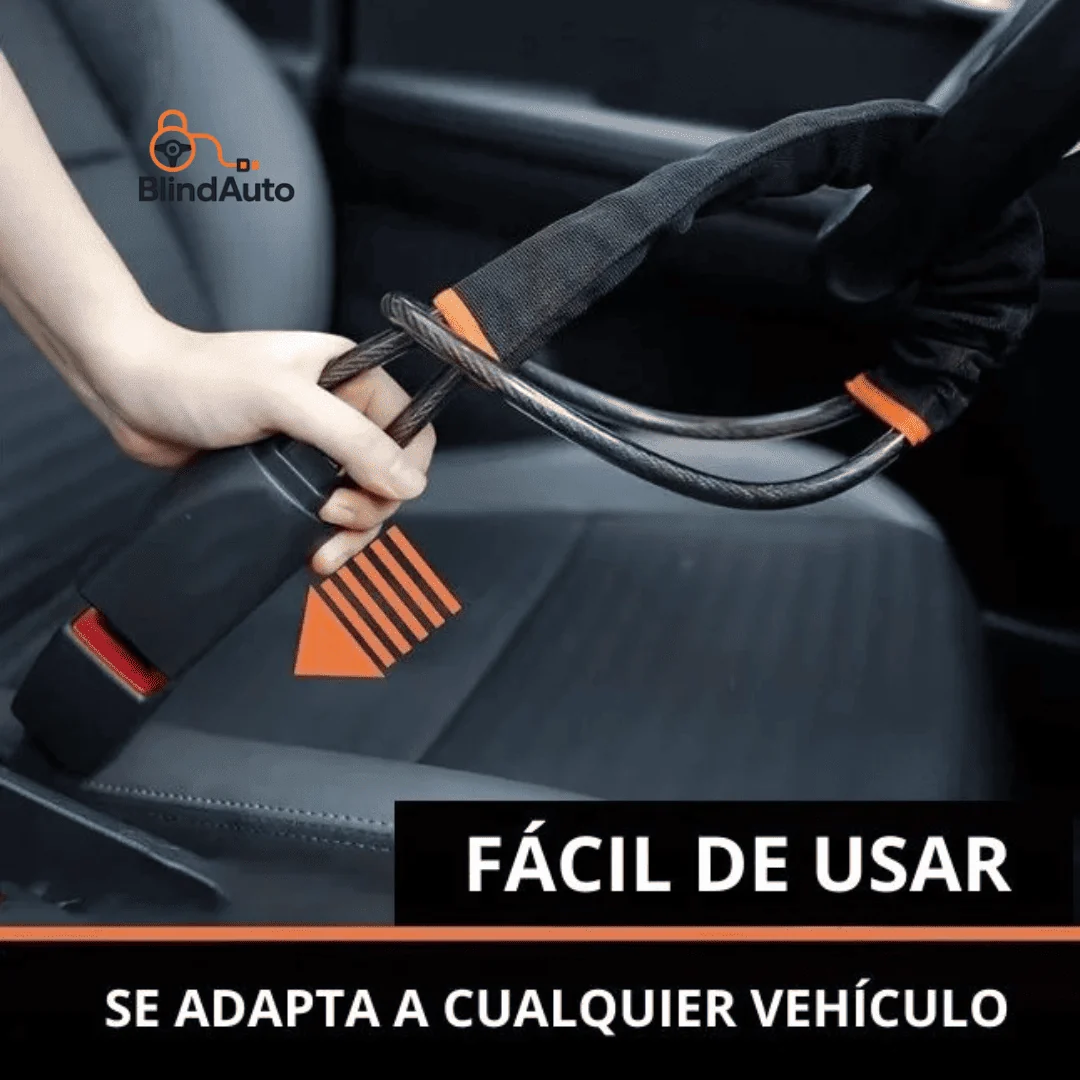 Cinturon Anti Robo Para Vehiculo