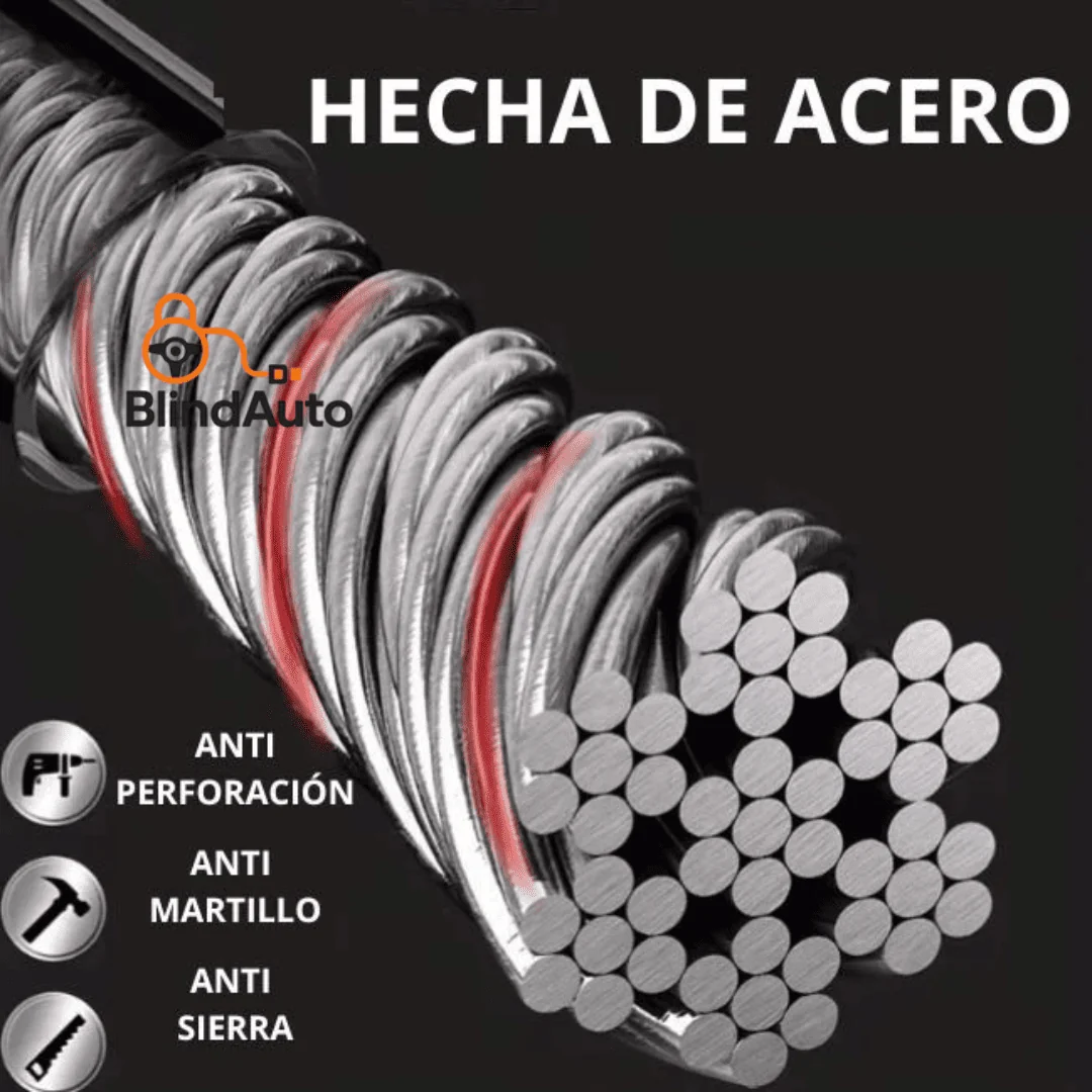 Cinturon Anti Robo Para Vehiculo